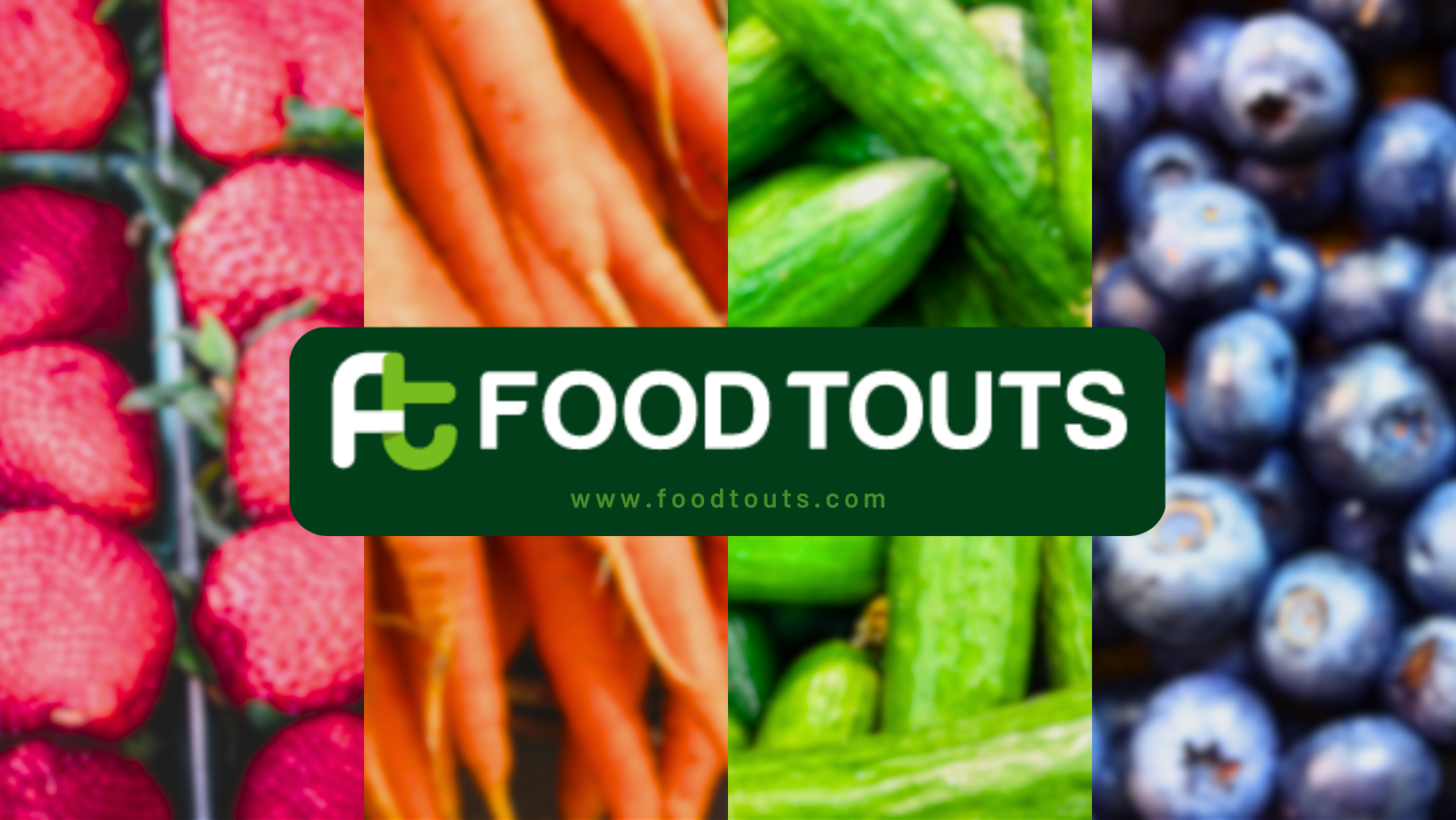 meal-types-food-touts