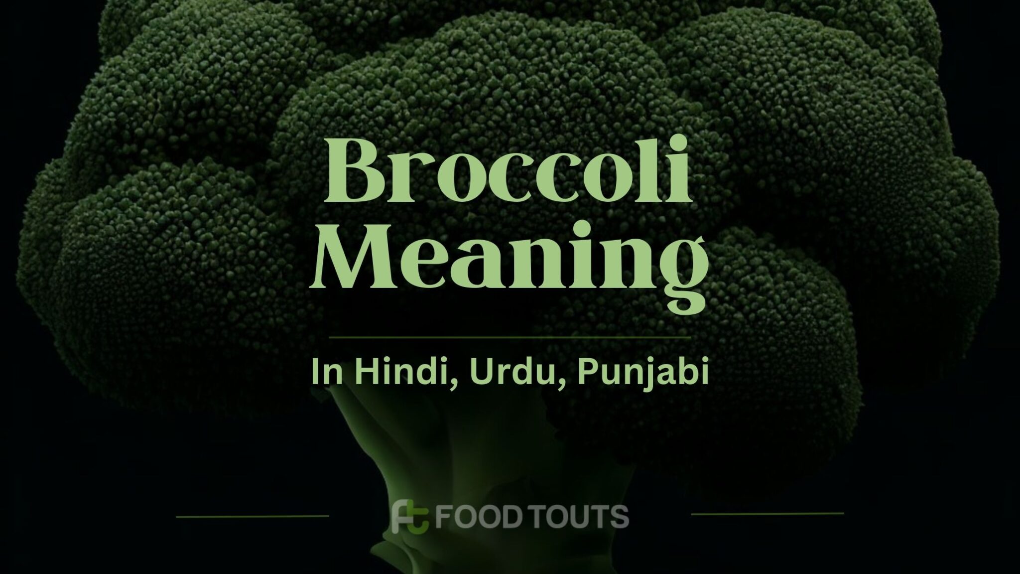 Broccoli Meaning In Hindi, Urdu, Punjabi, And Persian Food Touts