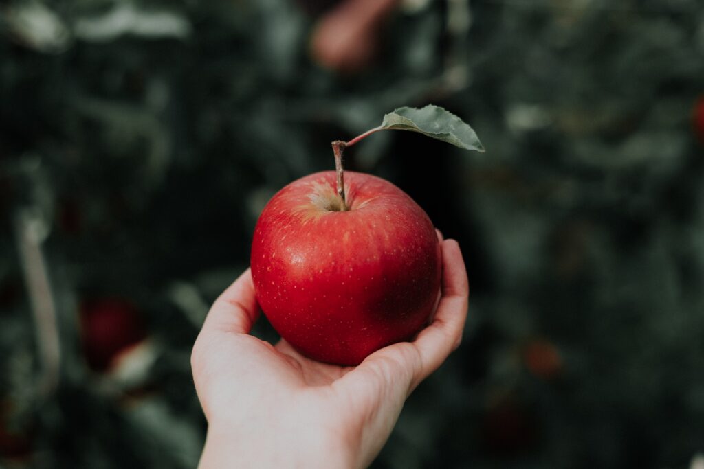 Apple meaning in urdu, punjabi, hindi
