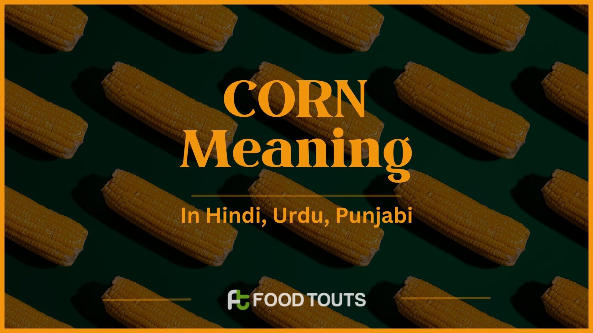 Corn Meaning In Hindi, Urdu, Punjabi And Persian | Food Touts