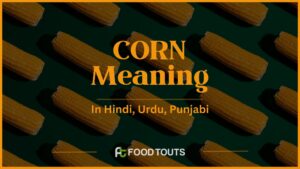 Corn meanings in urdu, english, persian, and hindi