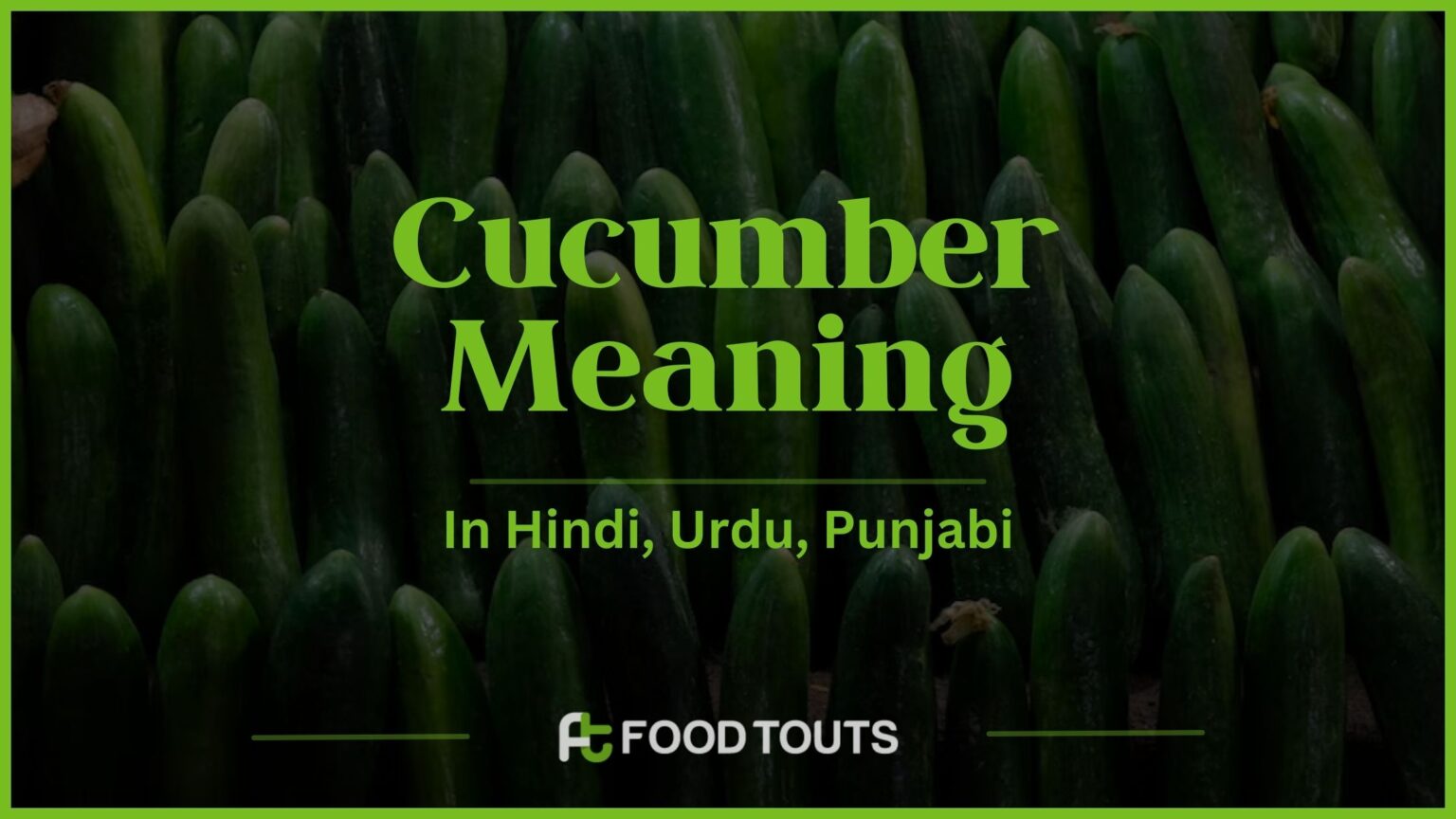 Cucumber Meaning In Hindi, Urdu, Punjabi And Persian Food Touts