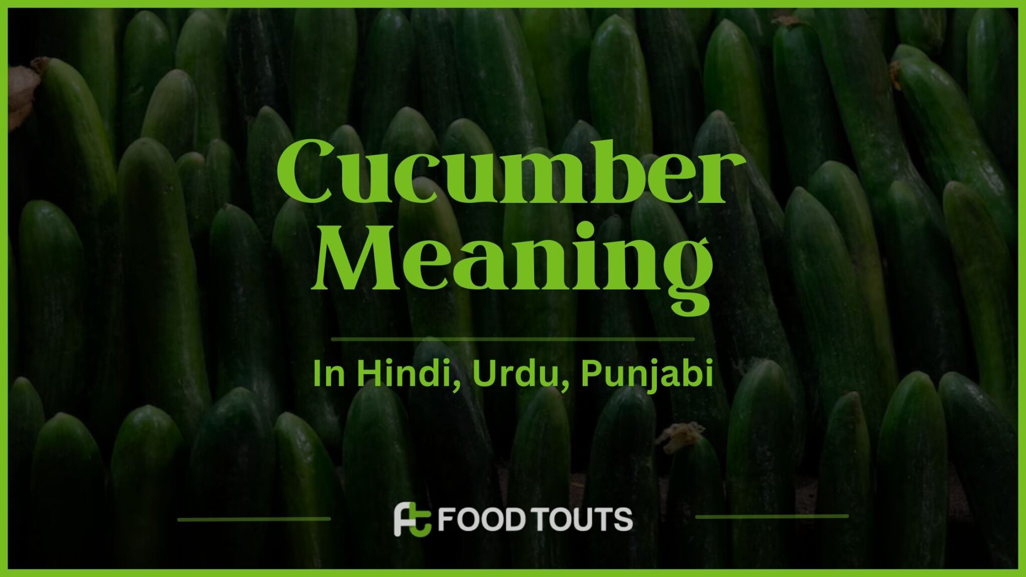 Cucumber Meaning In Hindi, Urdu, Punjabi And Persian Food Touts