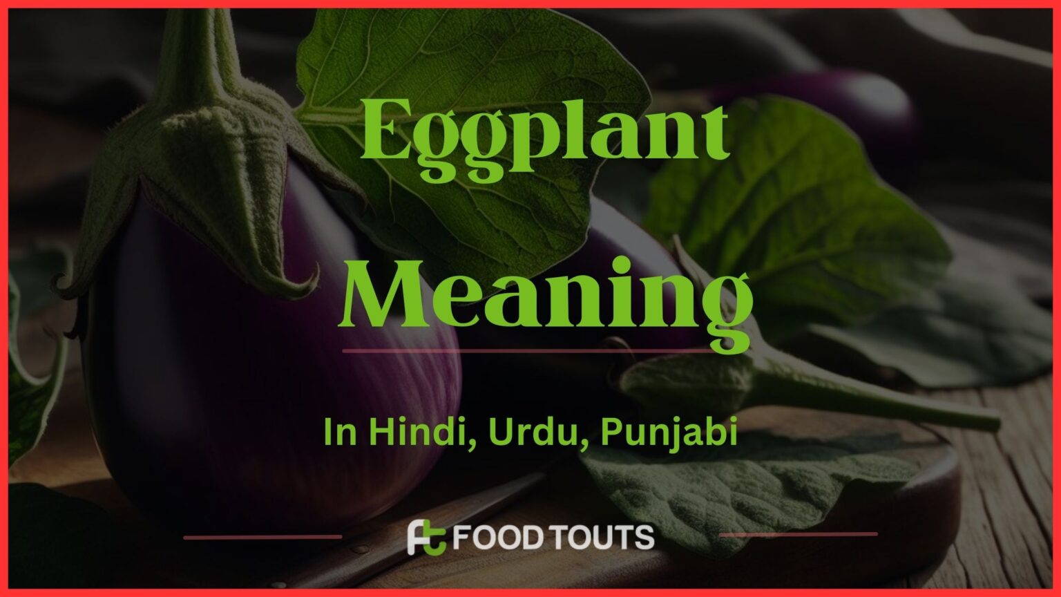 Eggplant Meaning In Hindi, Urdu, Punjabi, And Persian Food Touts