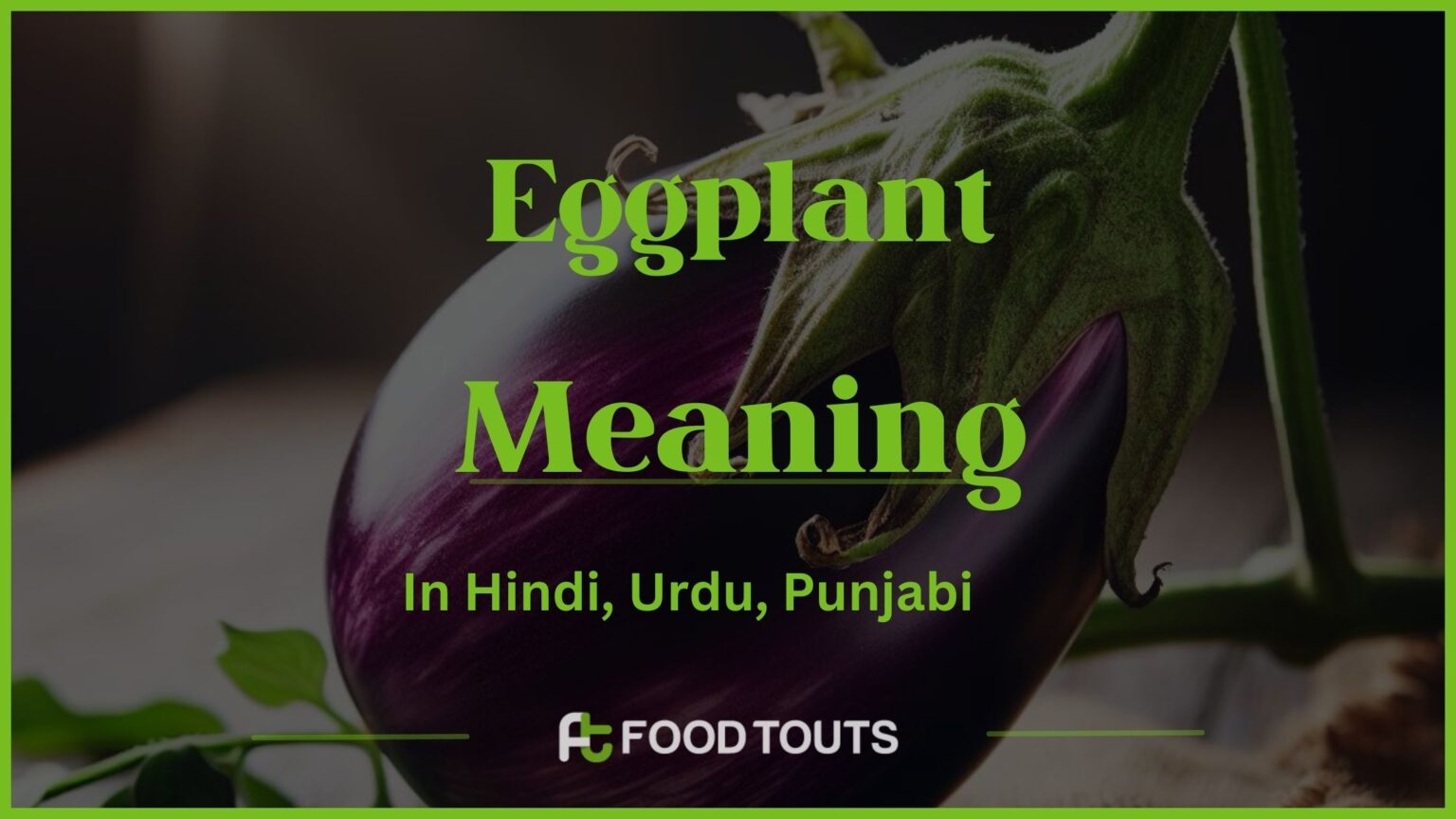 Eggplant Meaning In Hindi, Urdu, Punjabi, And Persian Food Touts