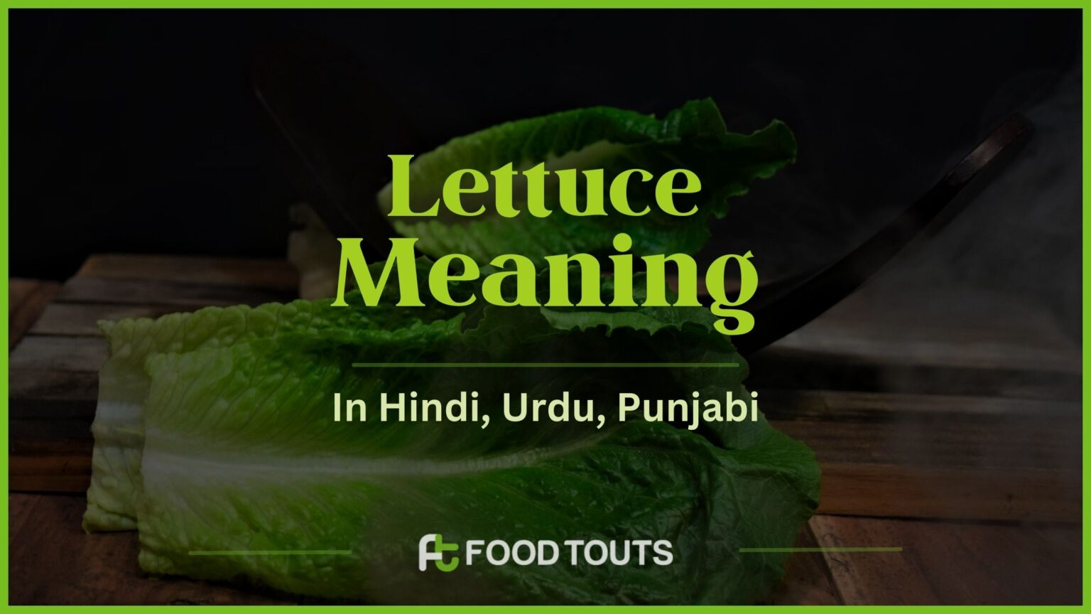 Lettuce Meaning In Hindi, Urdu, Punjabi And Persian Food Touts
